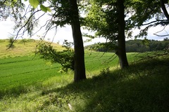 Killikus&reg; Fotographie